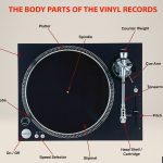 How Do Vinyl Records Work? Explained!